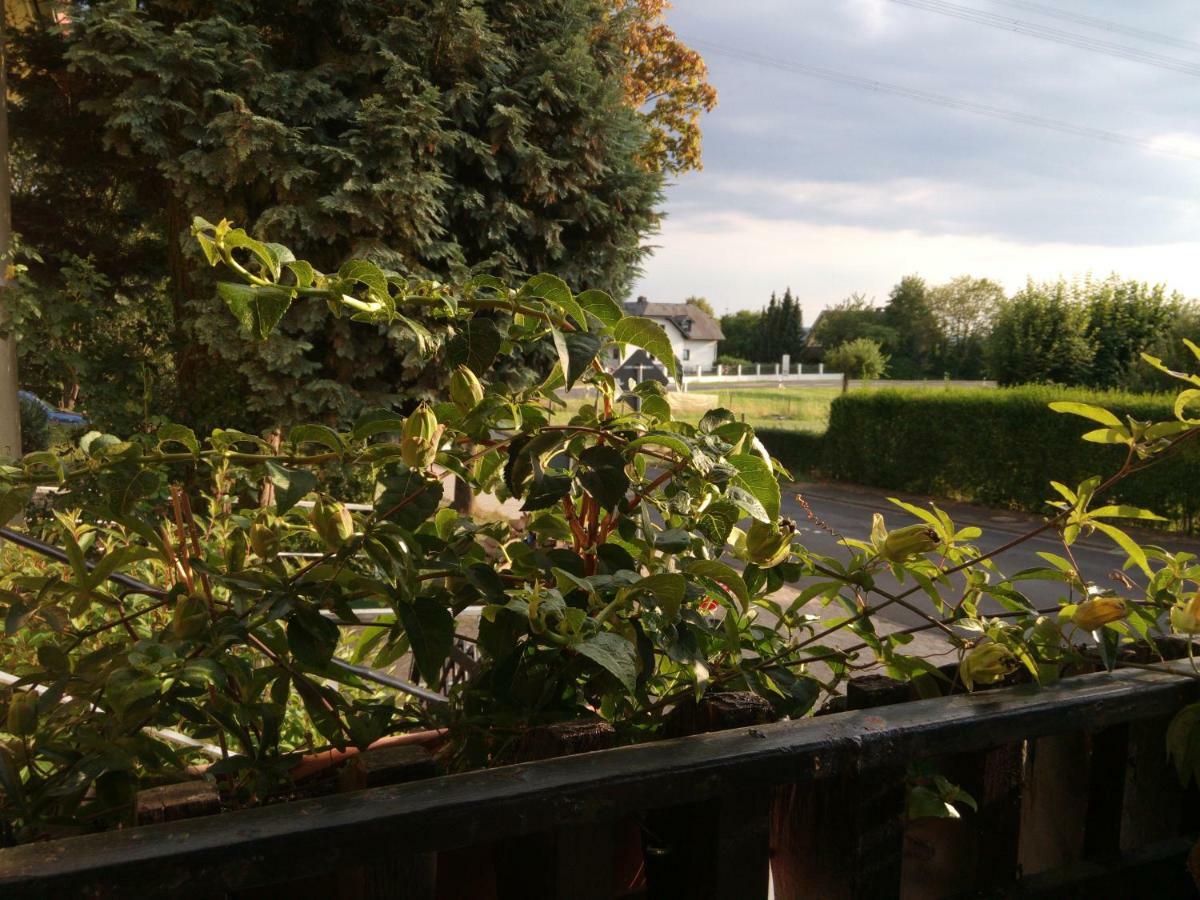 Hotel Pension Waldhof Simmern Exteriér fotografie